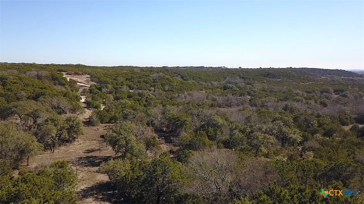 Tbd Fm 2955 Property Photo 17