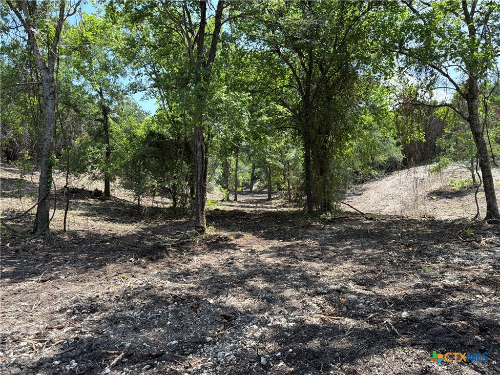 Tbd Fm 2955 Property Photo 18