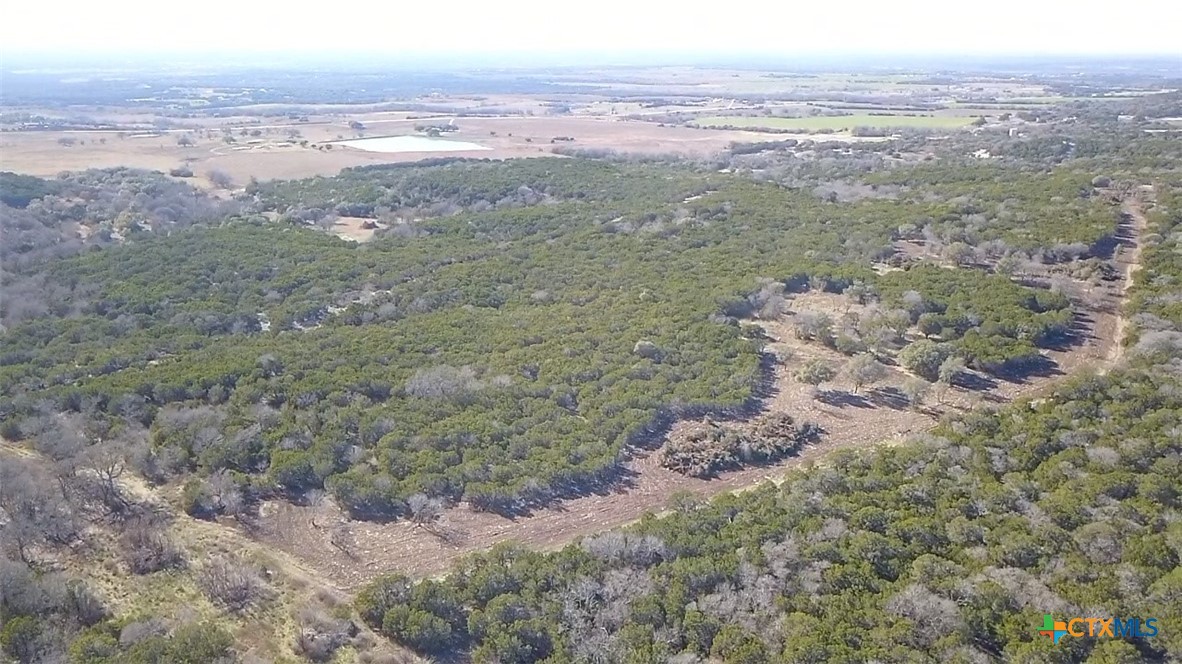 Tbd Fm 2955 Property Photo 19