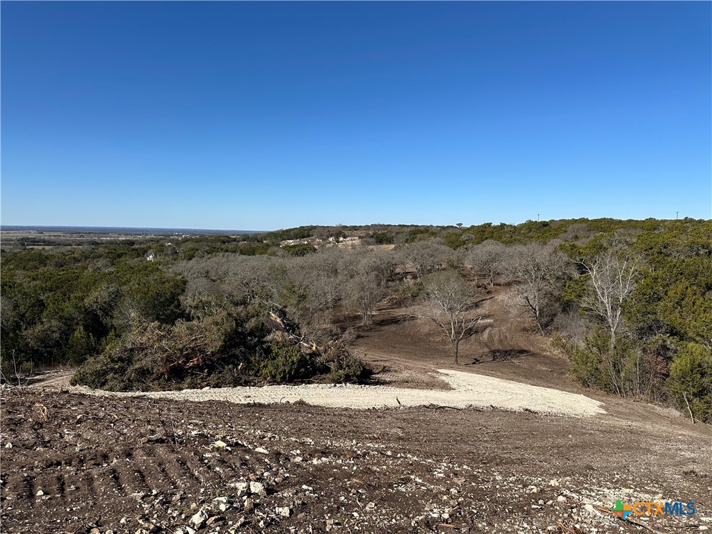 Tract 1 Fm 2955 Property Photo 11