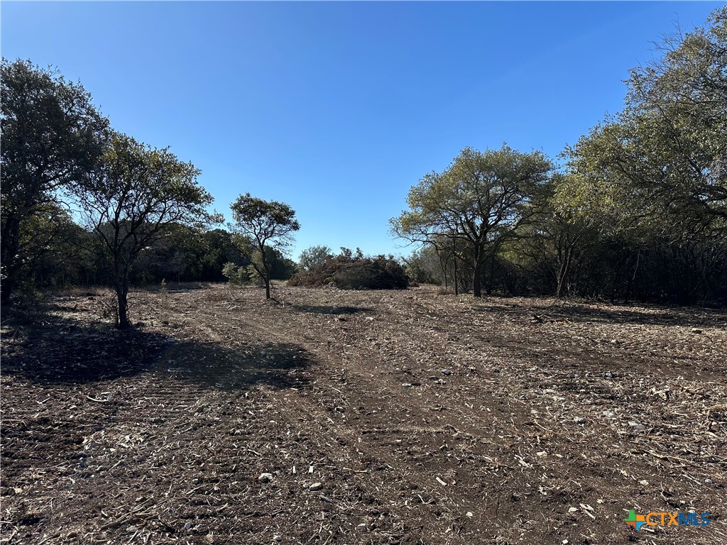 Tract 1 Fm 2955 Property Photo 14