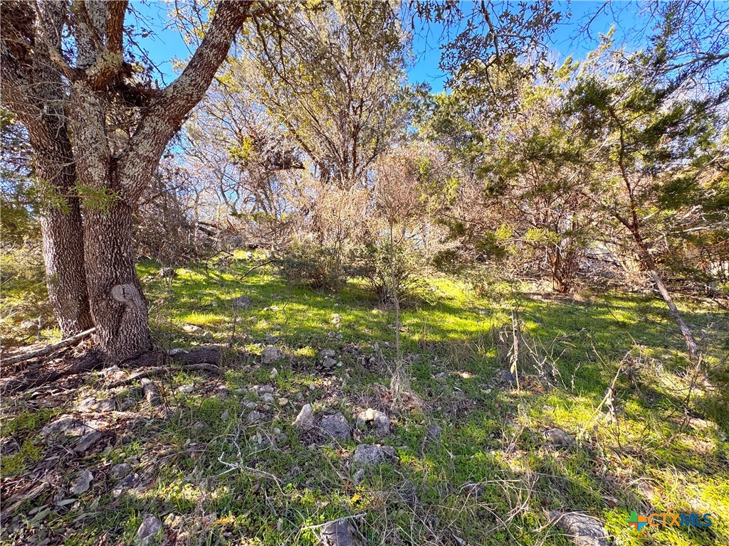 3020 Tanglewood Trail Property Photo 2
