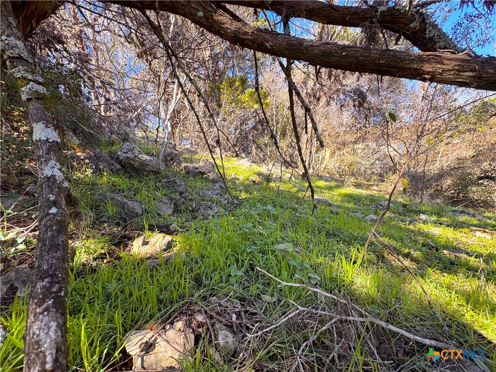 3020 Tanglewood Trail Property Photo 4