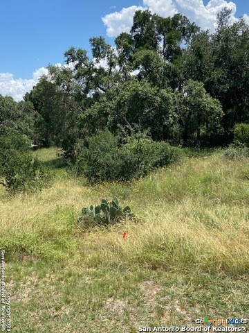 2122 Angeles Court Property Photo 6