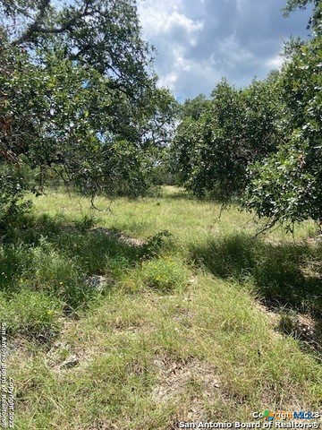 2122 Angeles Court Property Photo 9