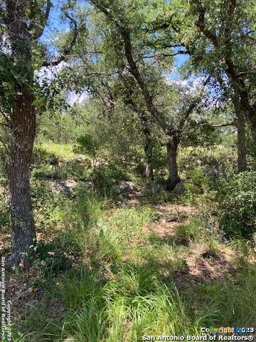 2122 Angeles Court Property Photo 10