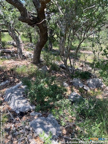 2122 Angeles Court Property Photo 13