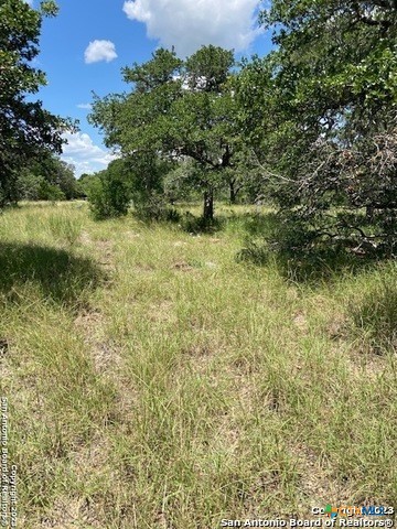 2122 Angeles Court Property Photo 15