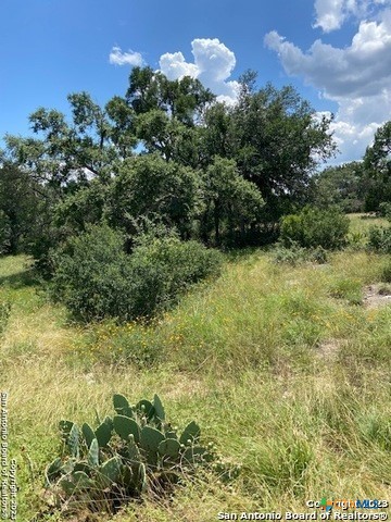 2122 Angeles Court Property Photo 16