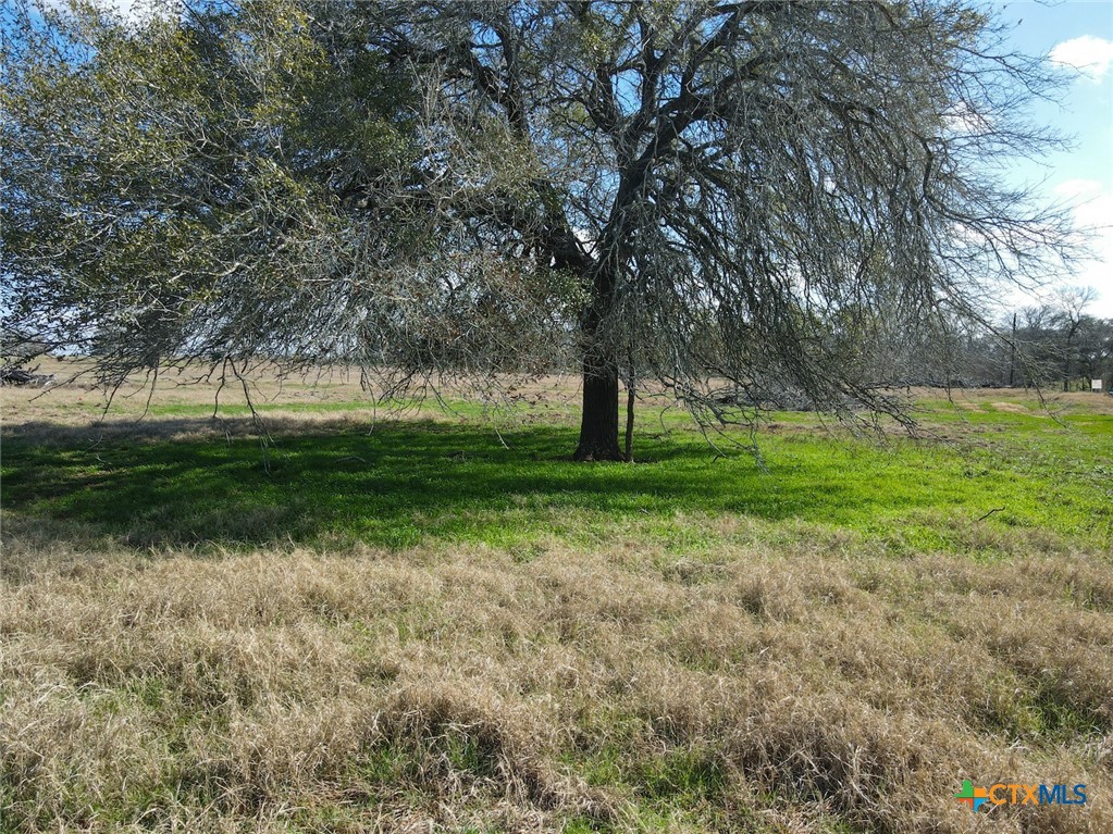 5411 Tenney Creek Road Property Photo 3