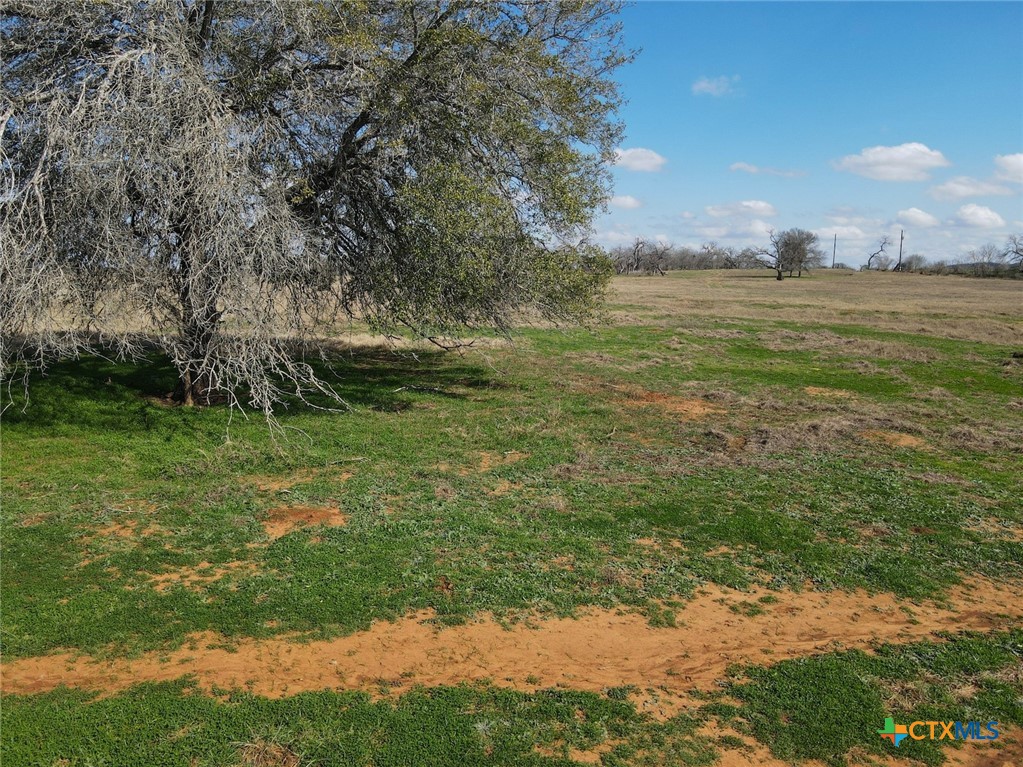 5411 Tenney Creek Road Property Photo 6