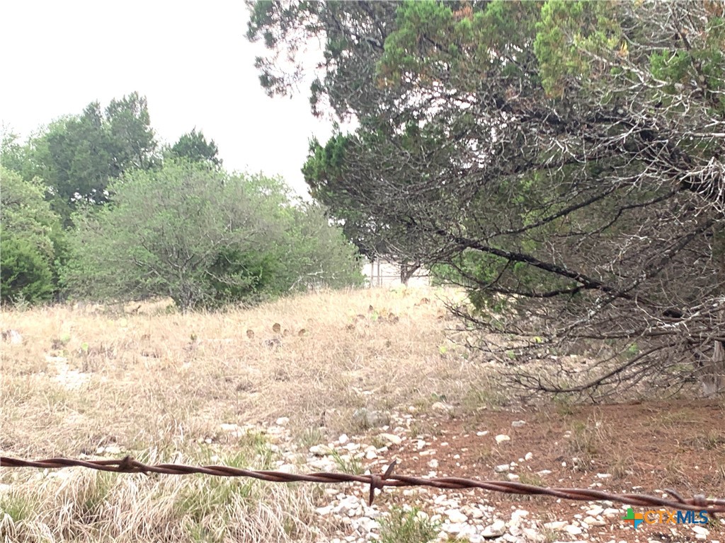 0 Firefly Road Property Photo