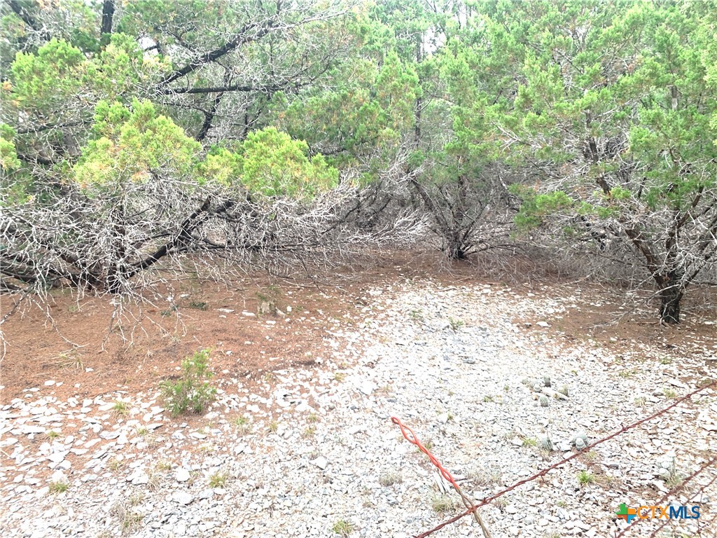 0 Firefly Road Property Photo 2