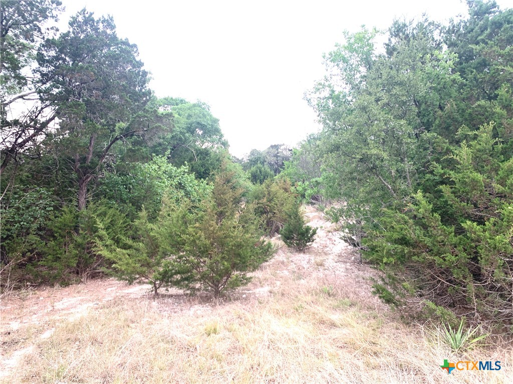 0 Firefly Road Property Photo 4