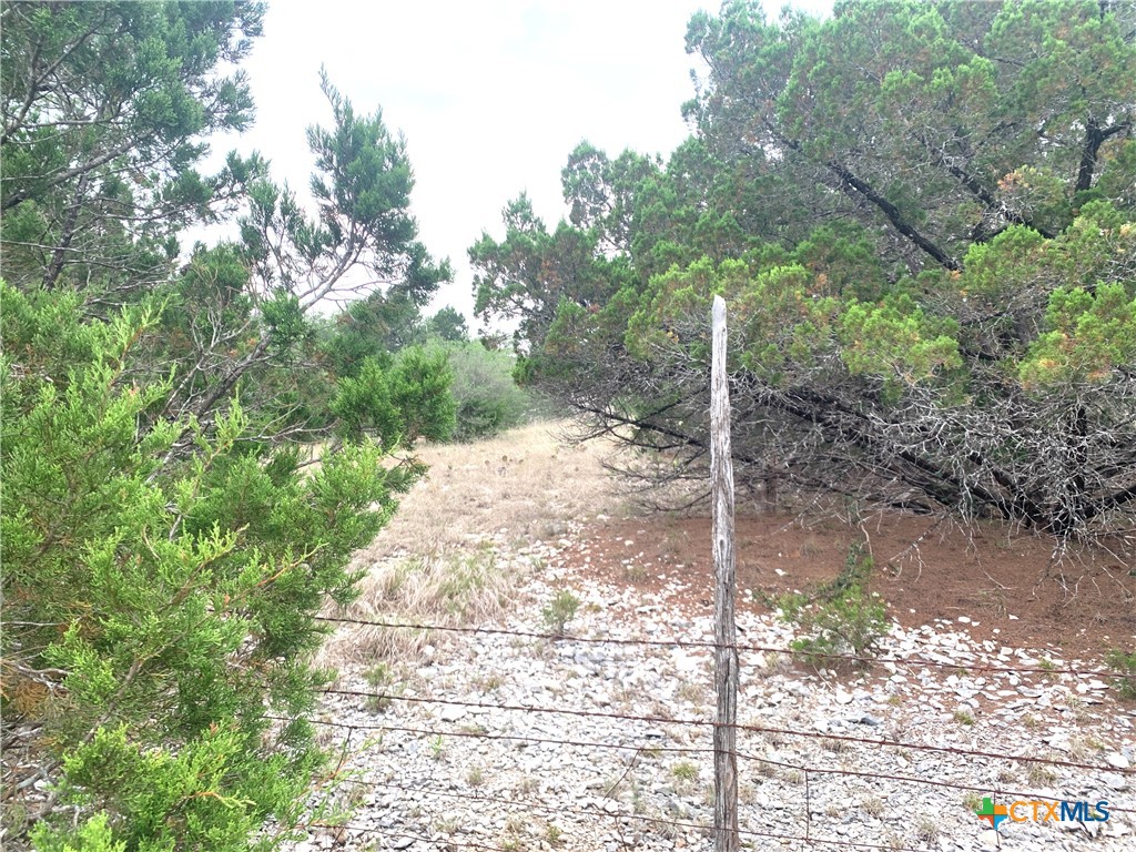 0 Firefly Road Property Photo 5