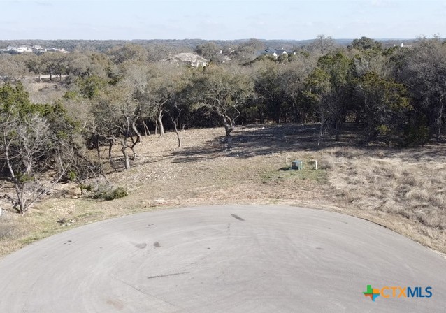 1218 Stone Gully Property Photo 3