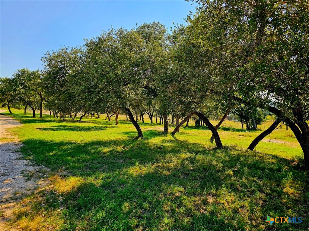 180 Hondo Spur Property Photo 44