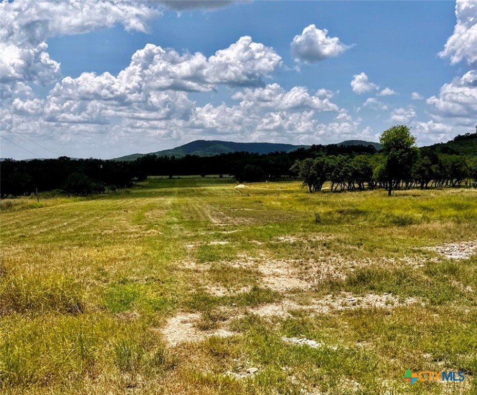 180 Hondo Spur Property Photo 46