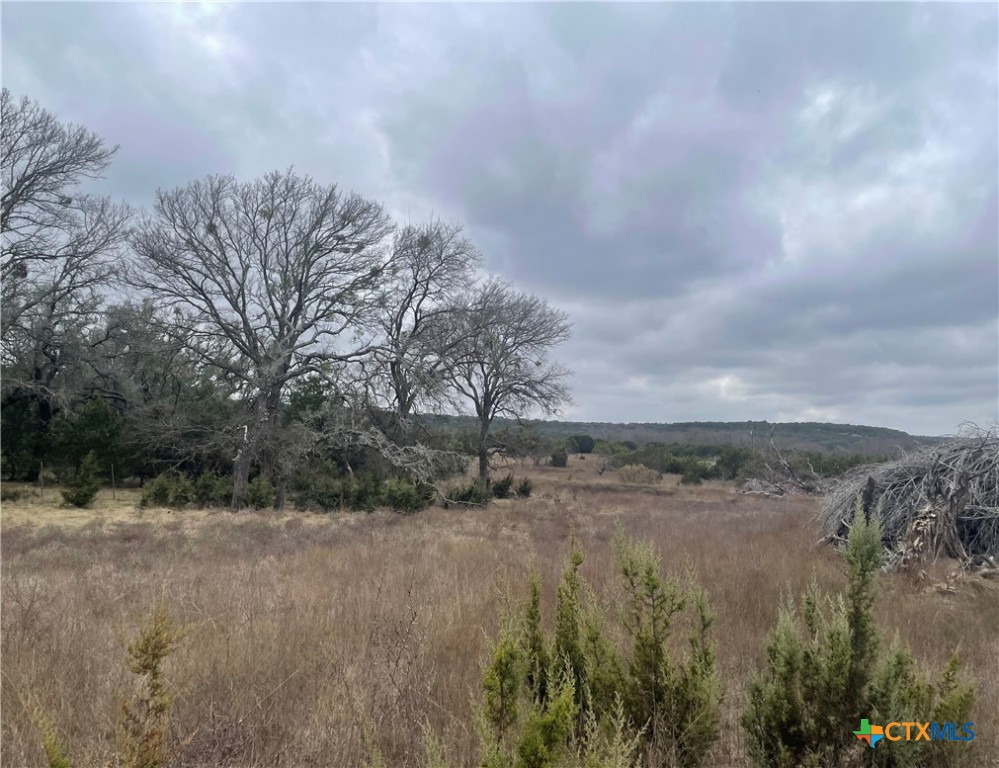 Tbd County Road 2200 Property Photo 1