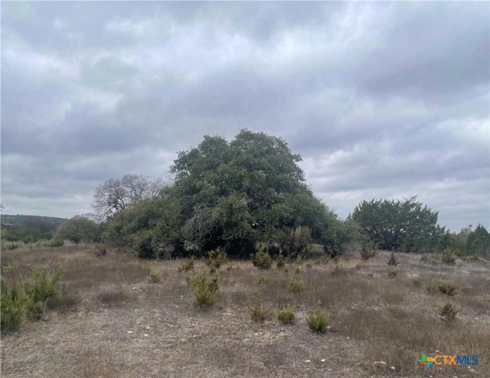 Tbd County Road 2200 Property Photo 3
