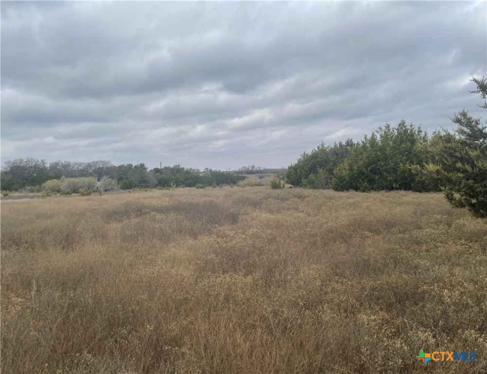 Tbd County Road 2200 Property Photo 8