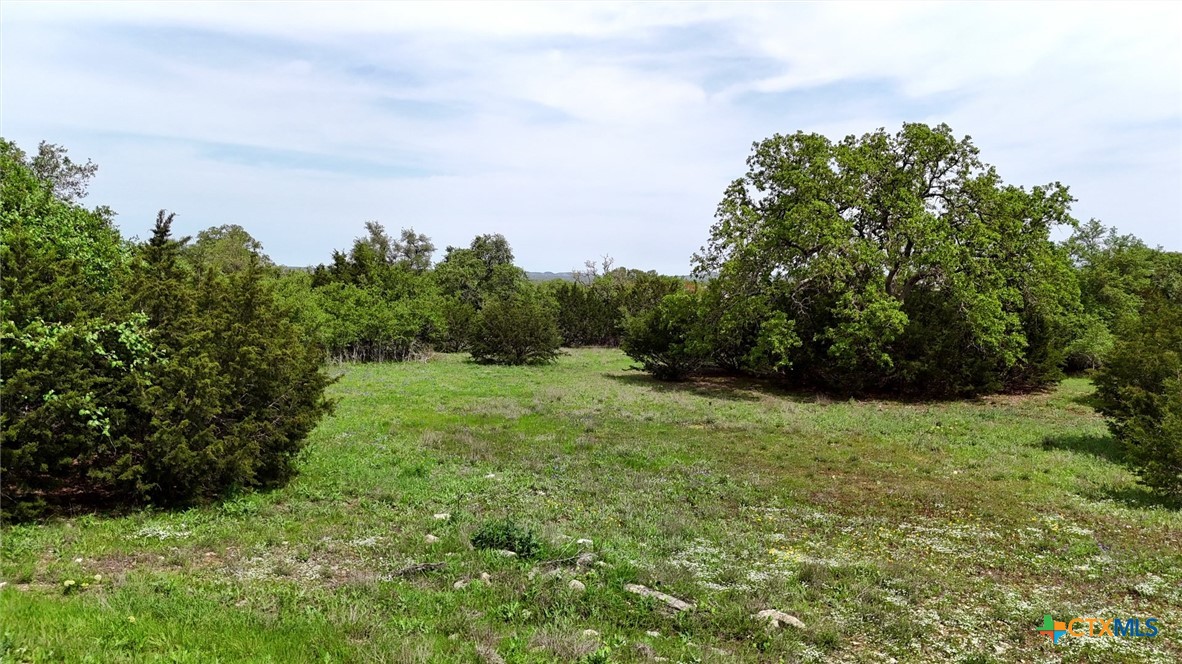119 Riley Wood Property Photo 12