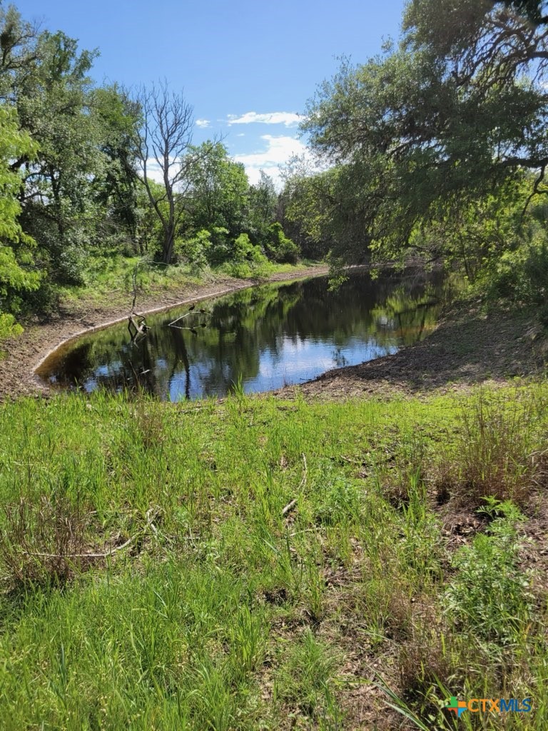 1463 Whispering Woods Trail Property Photo 1