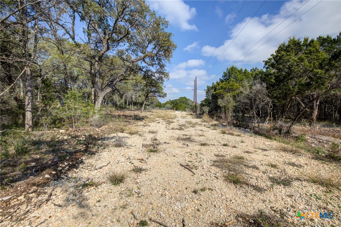 1463 Whispering Woods Trail Property Photo 6