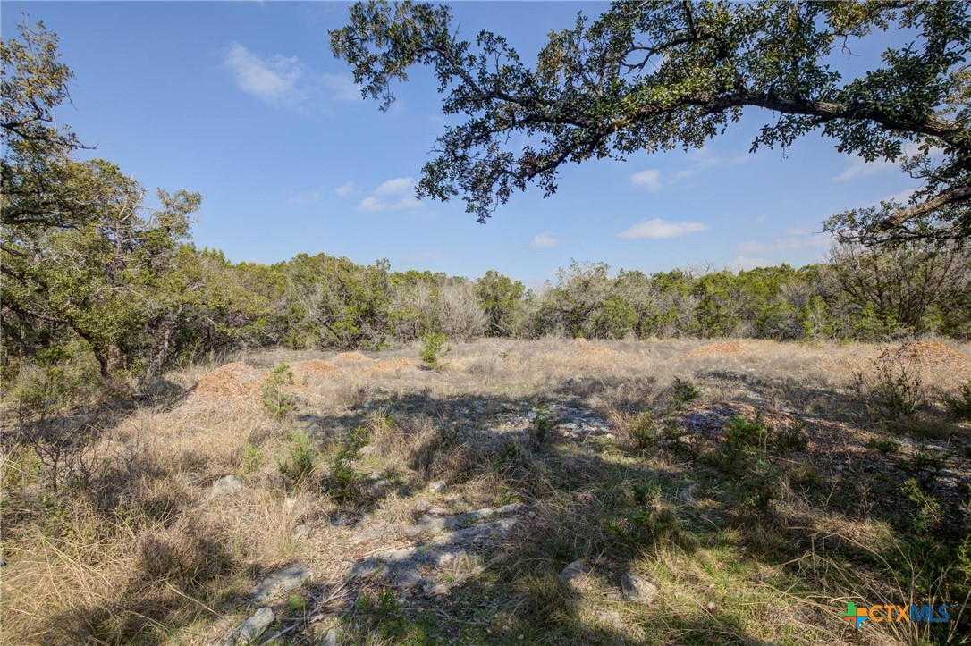 1463 Whispering Woods Trail Property Photo 7