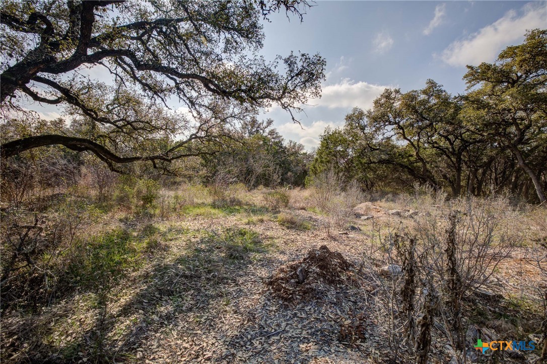 1463 Whispering Woods Trail Property Photo 8