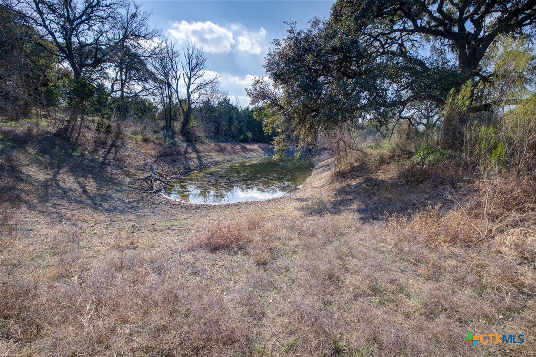 1463 Whispering Woods Trail Property Photo 10