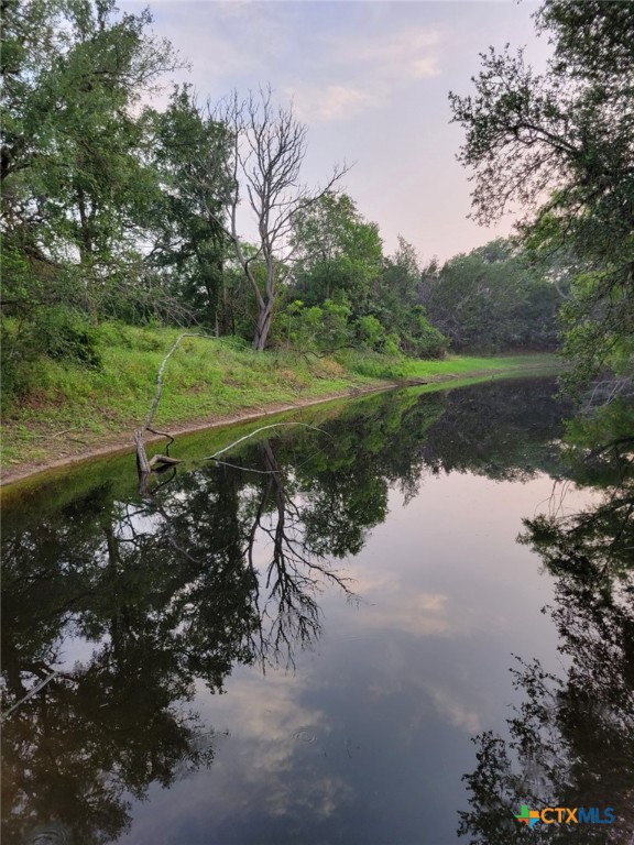 1463 Whispering Woods Trail Property Photo 11