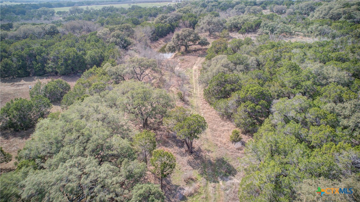 1463 Whispering Woods Trail Property Photo 13