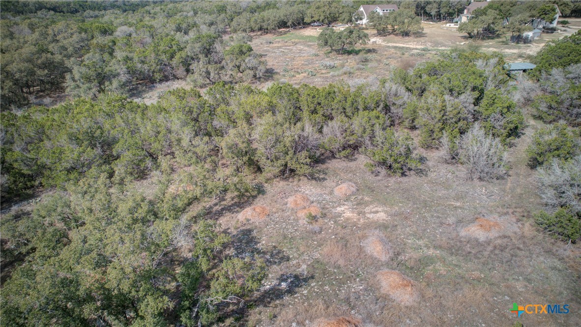 1463 Whispering Woods Trail Property Photo 14