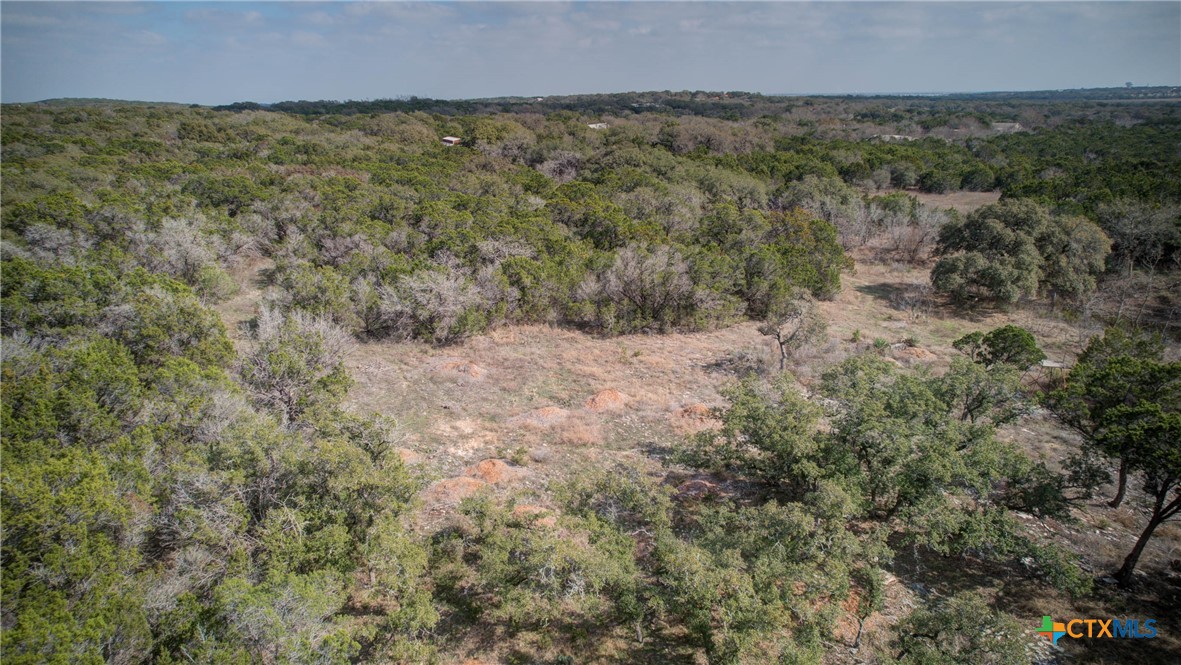 1463 Whispering Woods Trail Property Photo 17