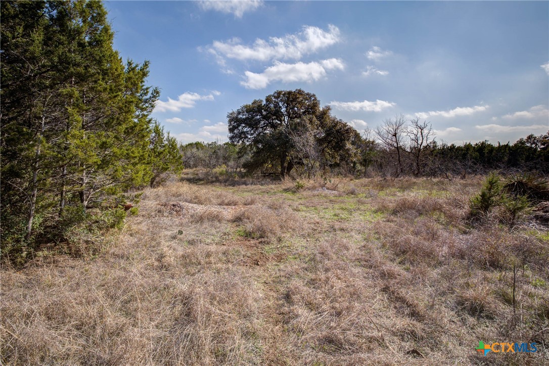 1463 Whispering Woods Trail Property Photo 23