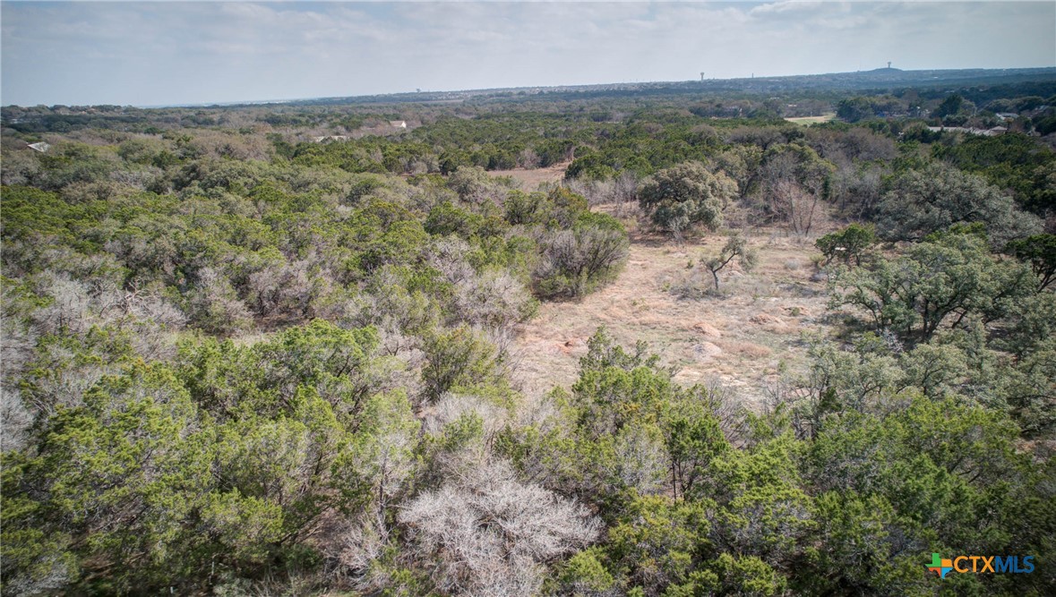 1463 Whispering Woods Trail Property Photo 29