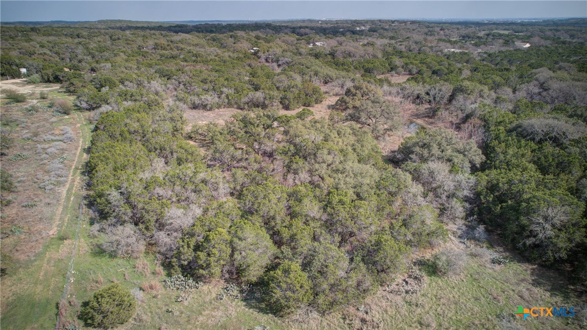 1463 Whispering Woods Trail Property Photo 30