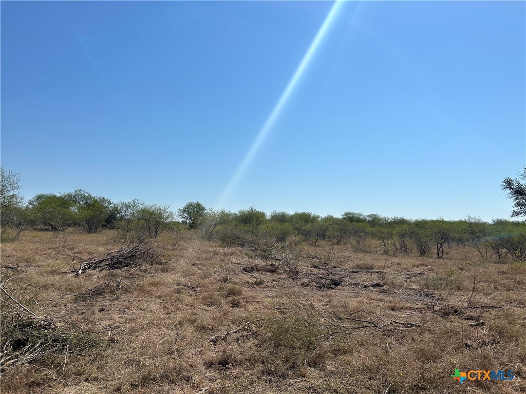 Tbd Brown Road Property Photo 3