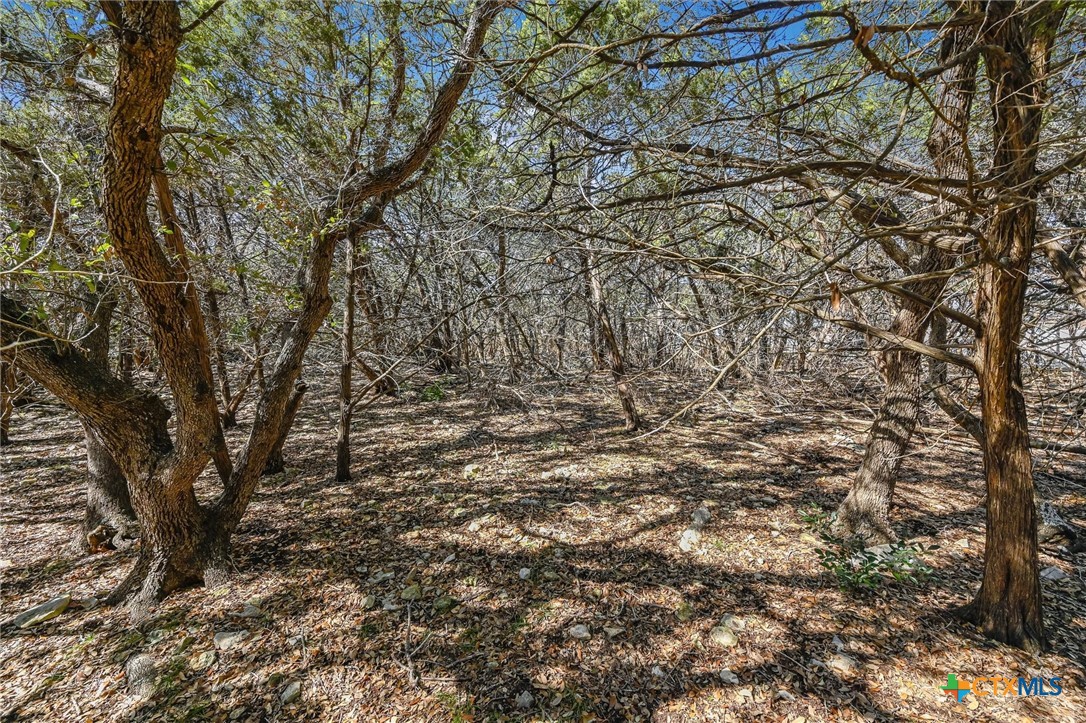 290 Hill Country Trail Property Photo 3