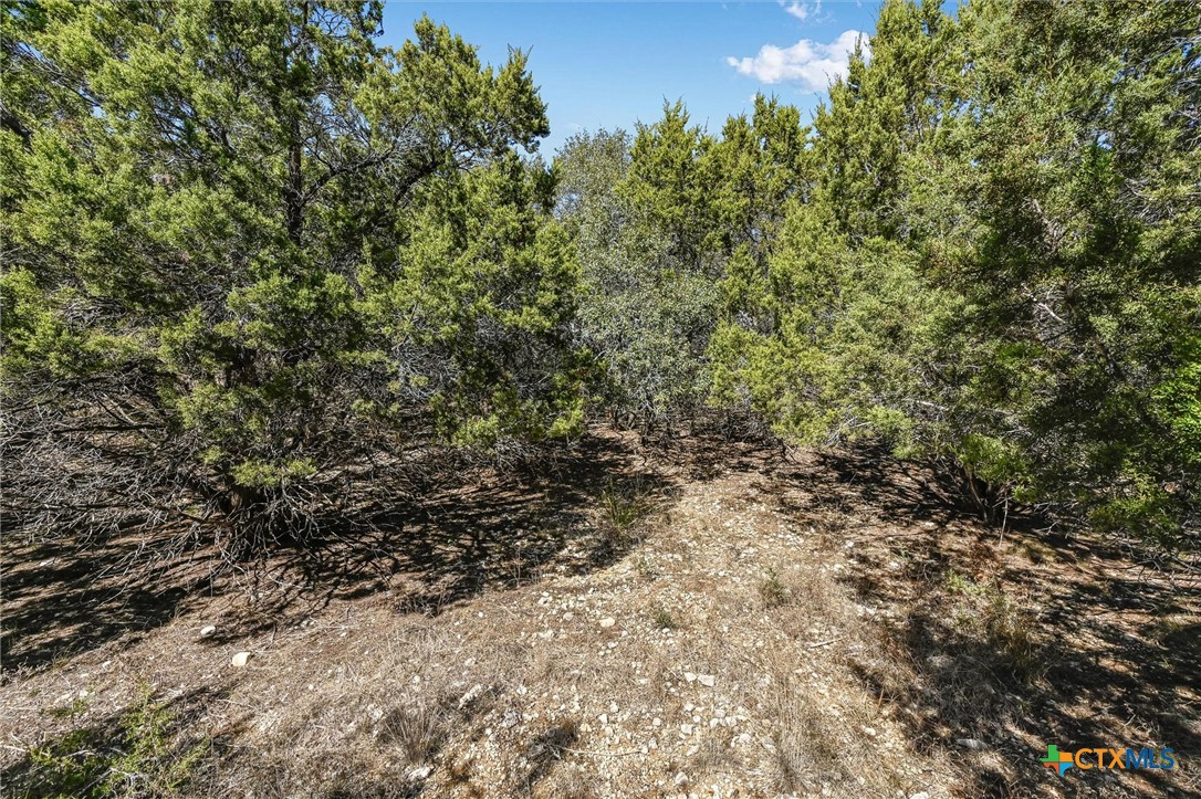 290 Hill Country Trail Property Photo 4