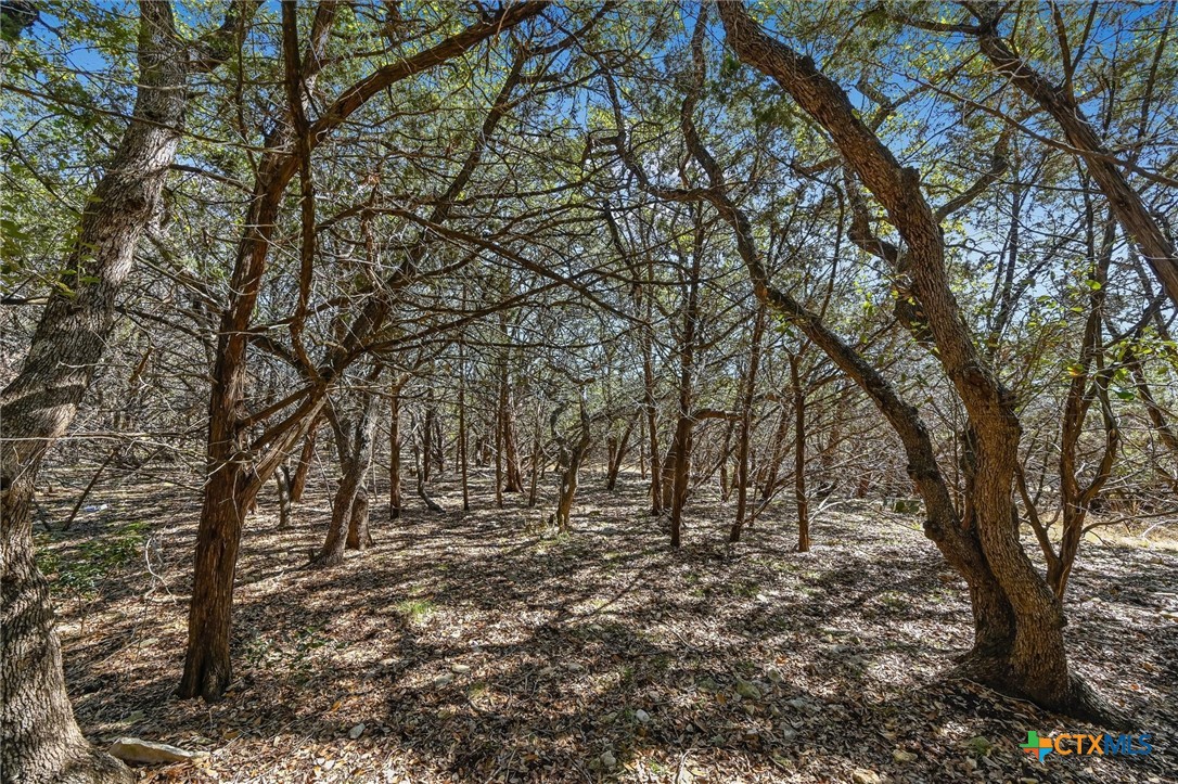 290 Hill Country Trail Property Photo 5