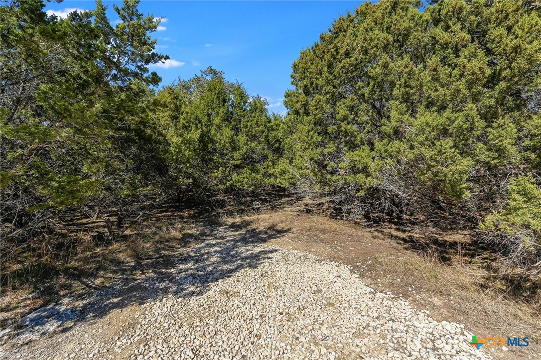 290 Hill Country Trail Property Photo 8