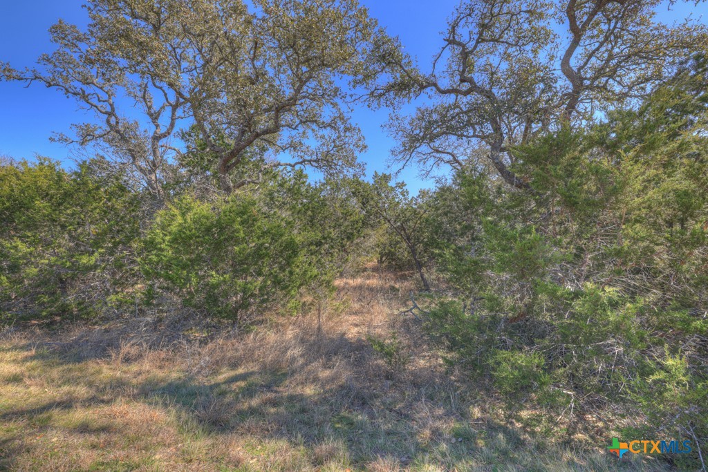 578 Falconwood Drive Property Photo 1