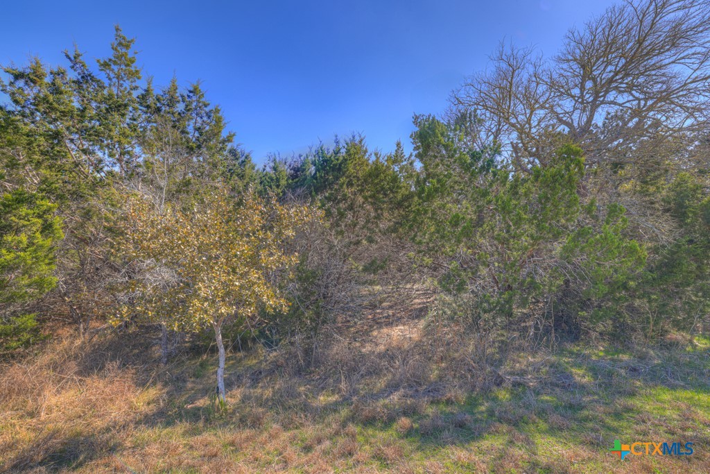 578 Falconwood Drive Property Photo 4