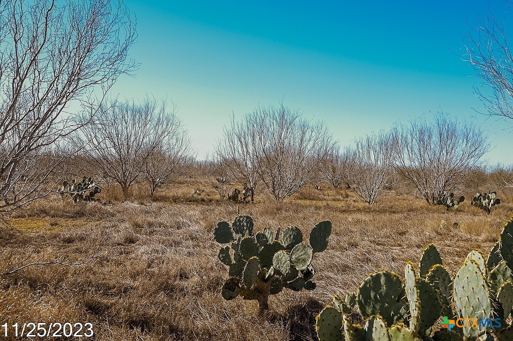 Tr 1 000 W Us Hwy 85 Street Property Photo 9
