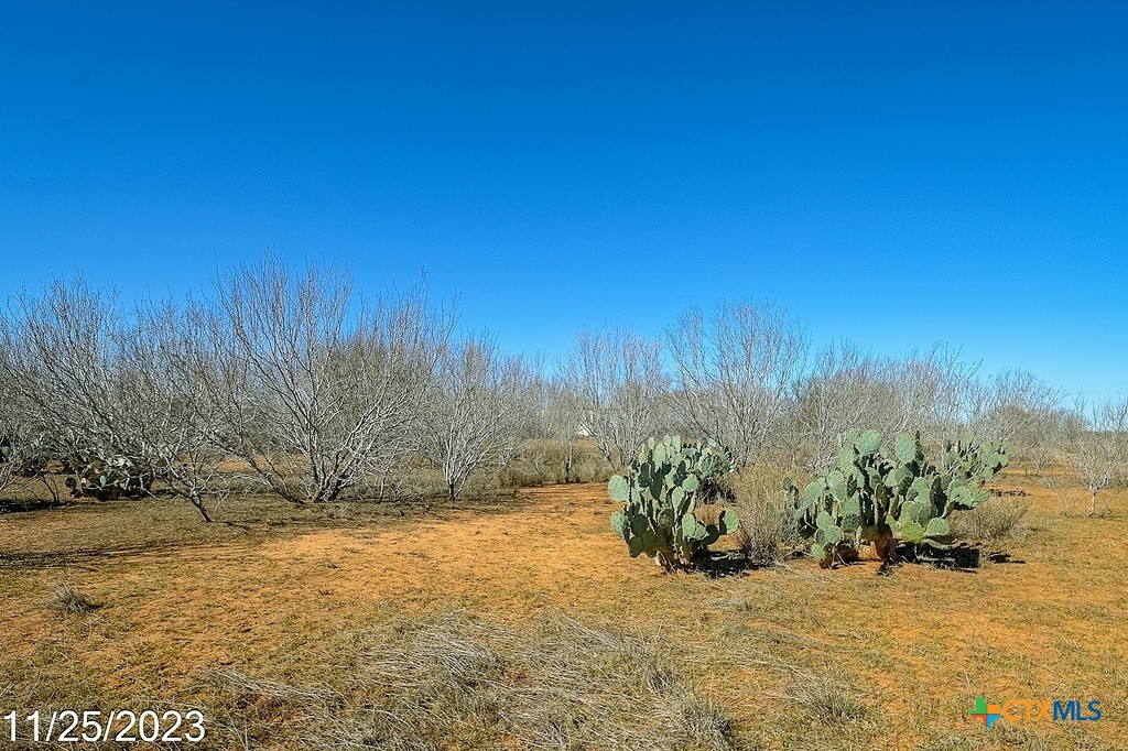 Tr 1 000 W Us Hwy 85 Street Property Photo 13
