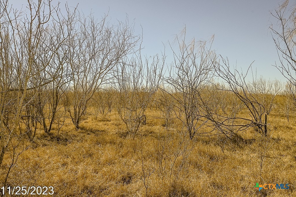Tr 4 000 Us Hwy 85 Street Property Photo 8