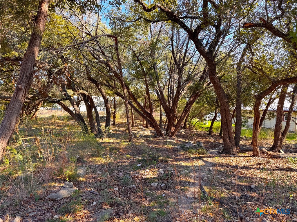 0tbd Westview Drive Property Photo 3
