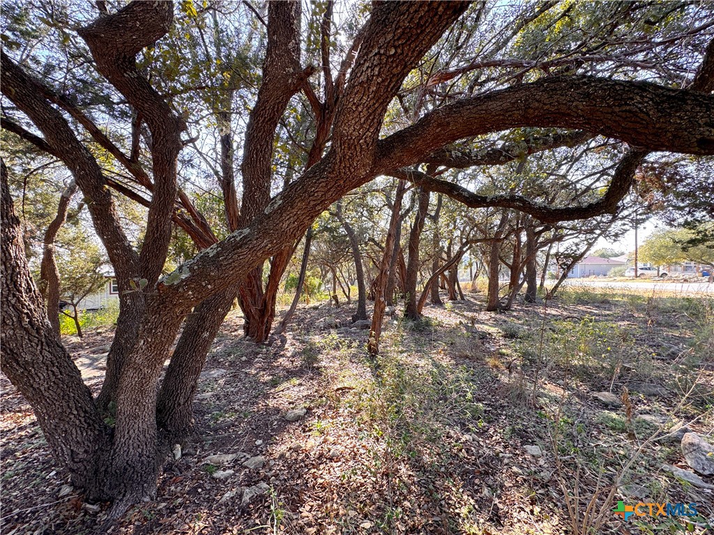 0tbd Westview Drive Property Photo 7